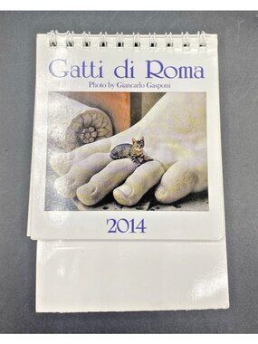 Gatti di Roma 2014 Calendar Italy Italian Cat Kitty Calendar Gasponi Crafts Rome